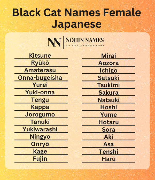 Black Cat Names Female Japanese