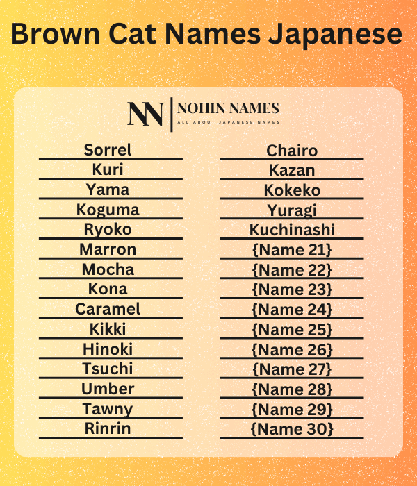 Brown Cat Names Japanese