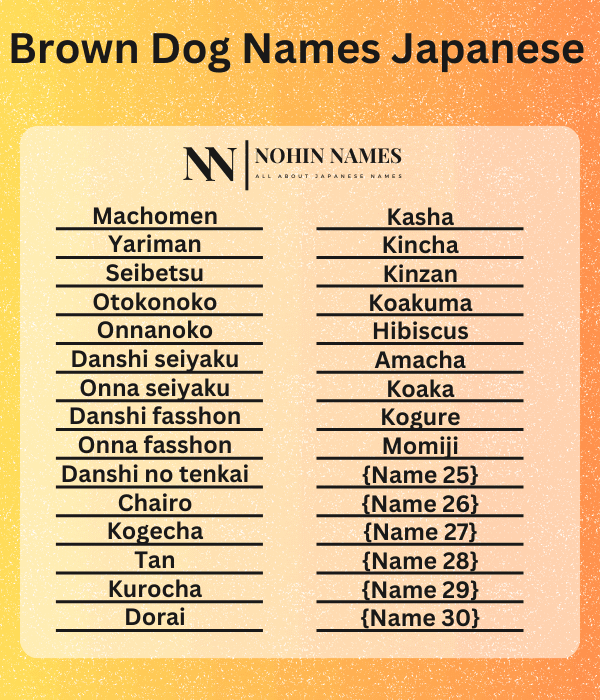 Brown Dog Names Japanese (