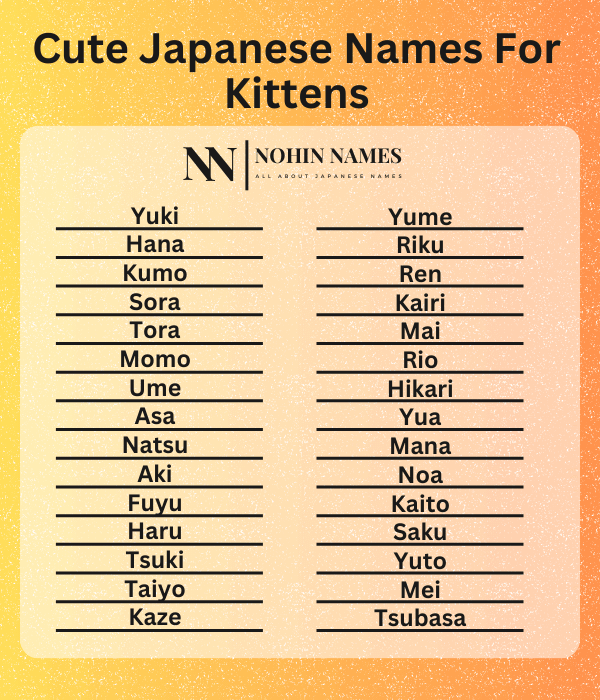Cute Japanese Names For Kittens