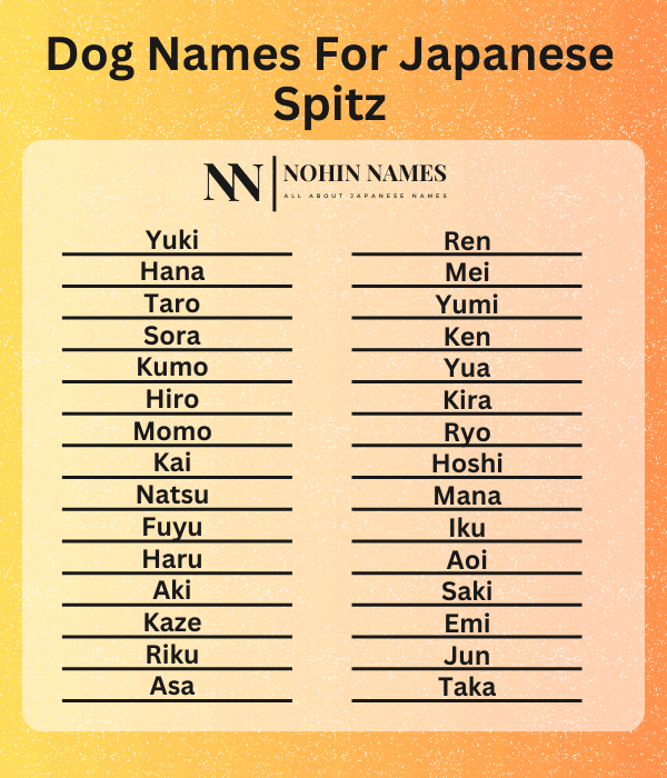 Dog Names For Japanese Spitz